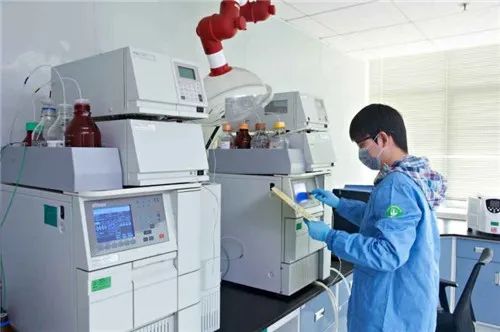 黑天鹅侵袭下的逆势增长 一家花卉企业的销售奇迹