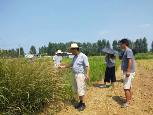 紧跟市场热点，优化产品结构 公司赴郑州研学宿根花卉与观赏草产业发展