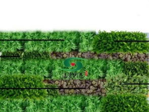 闵行南方商城 打造城市绿洲的仿真花与绿植墙专业服务