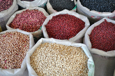 豌豆种子与肥料 从选种到丰收的科学指南