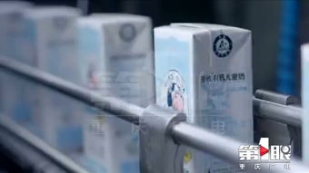 参观加工厂，埋下生态种子——暑期小记者夏令营纪实