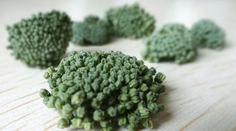 三七的奇妙力量 轻松解决14种常见问题的天然良方